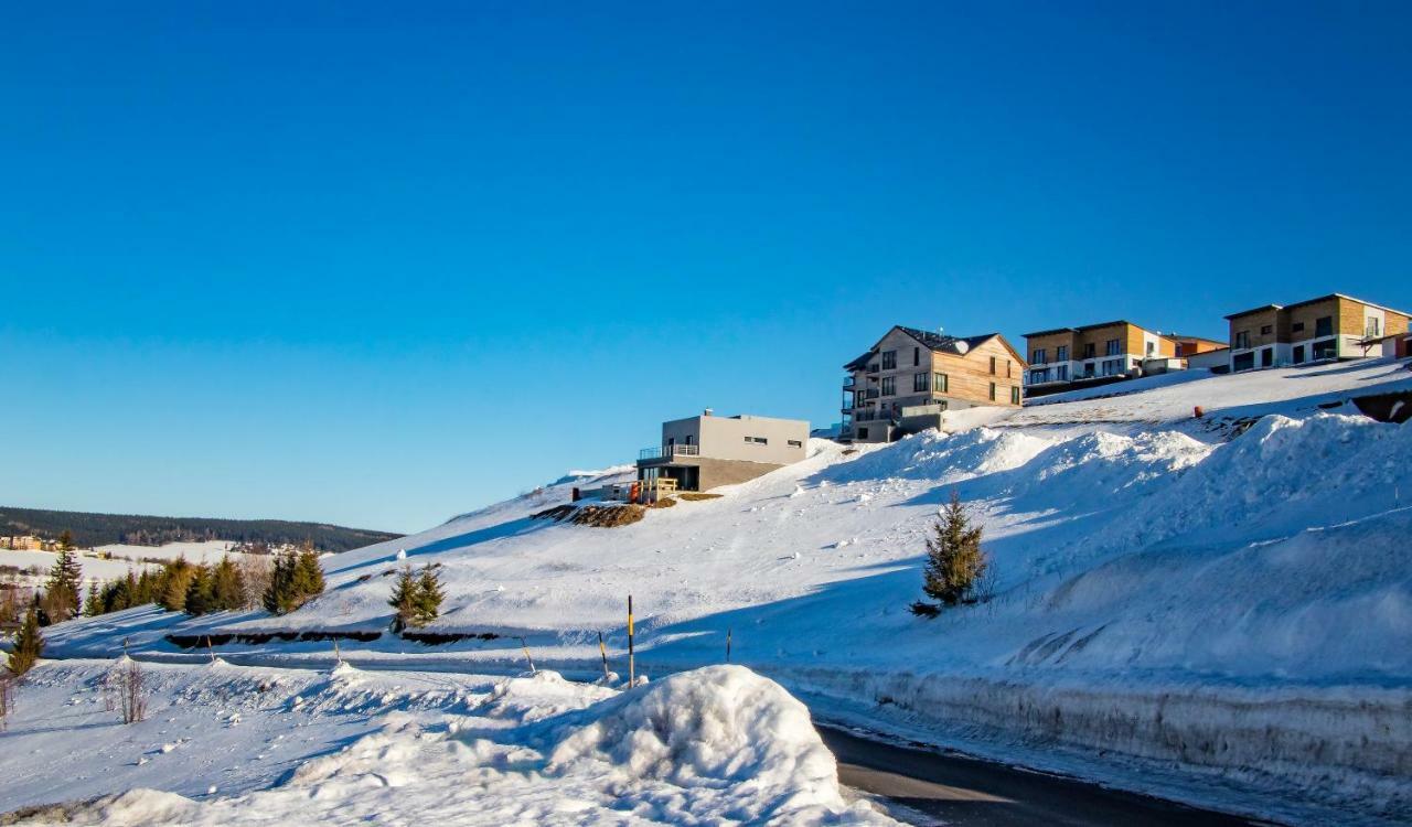 Wellness Villa Klinovec Views Loučná pod Klínovcem Bagian luar foto